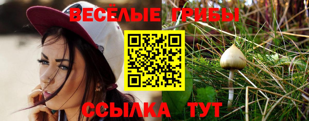 Псилоцибиновые грибы MAGIC MUSHROOMS  купить наркоту  Вход с VPN  Комсомольск-на-Амуре  Галлюциногенные грибы Cubensis 